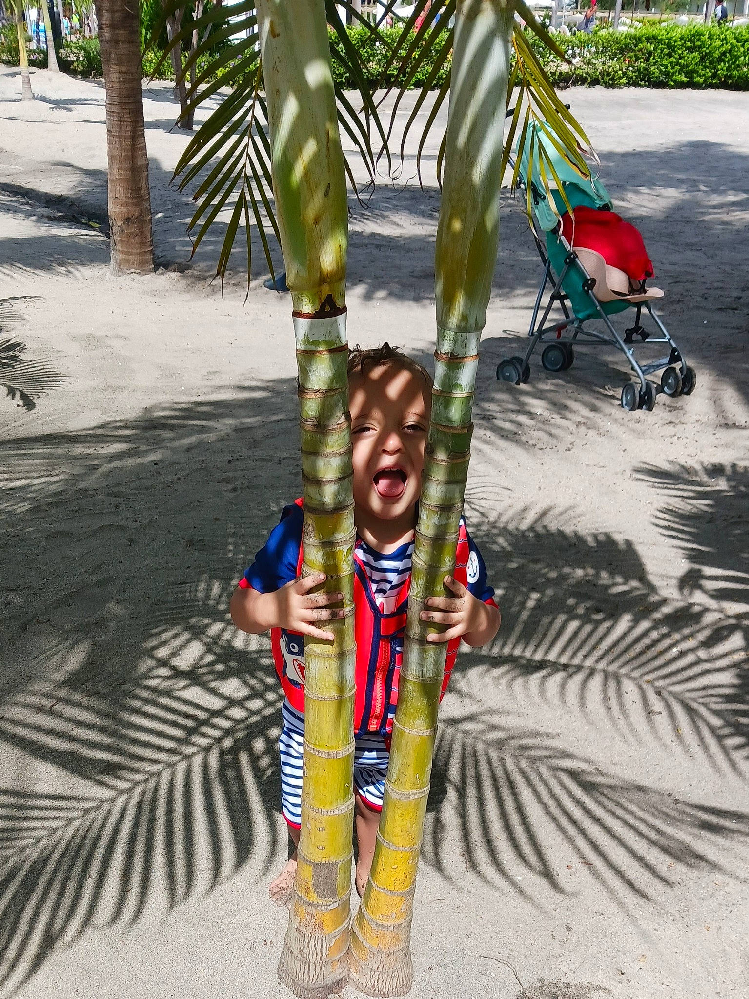 Theodore joined the competition — help win amazing prizes! arecales, art, artist, event, fashion_accessory, fun, leisure, palm_tree, person, plant, pole, smile, terrestrial_plant, tourism, travel, tree, tribe, tropics, trunk, vacation