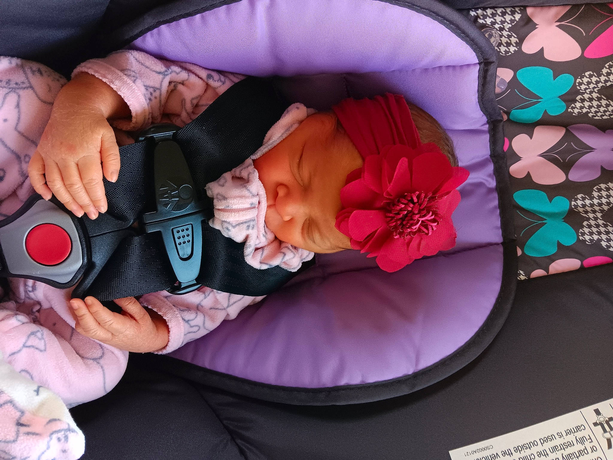 Leona joined the competition — help win amazing prizes! baby, baby_carriage, baby_products, baby_toddler_clothing, carmine, child, comfort, event, finger, hand, hat, lap, magenta, nail, person, pink, product, sitting, thumb, toddler