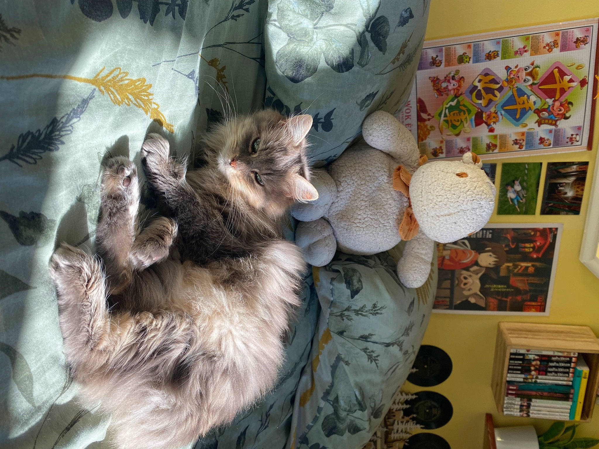 Seth a rejoint le concours — aidez-le/la à gagner de superbes lots ! art, canidae, carnivore, cat, claw, comfort, companion_dog, dog_breed, domestic_short_haired_cat, fawn, felidae, fur, linens, pattern, paw, room, small_to_medium_sized_cats, tail, textile, whiskers