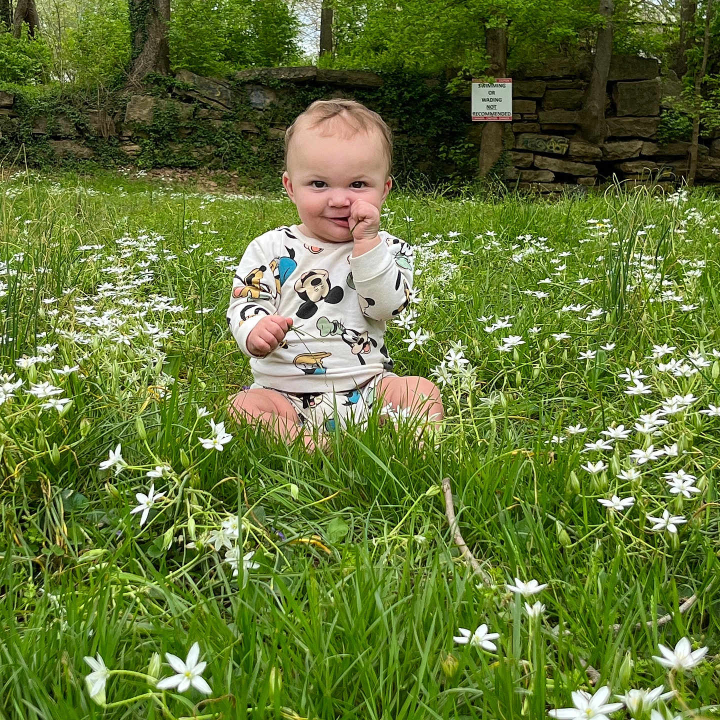 Trenton Joe is registered to the contest to win money with this photo: face, field, grass, grassland, green, grove, head, herbal, herbs, land, nature, outdoors, park, person, photography, plant, portrait, tree, vegetation, woodland
