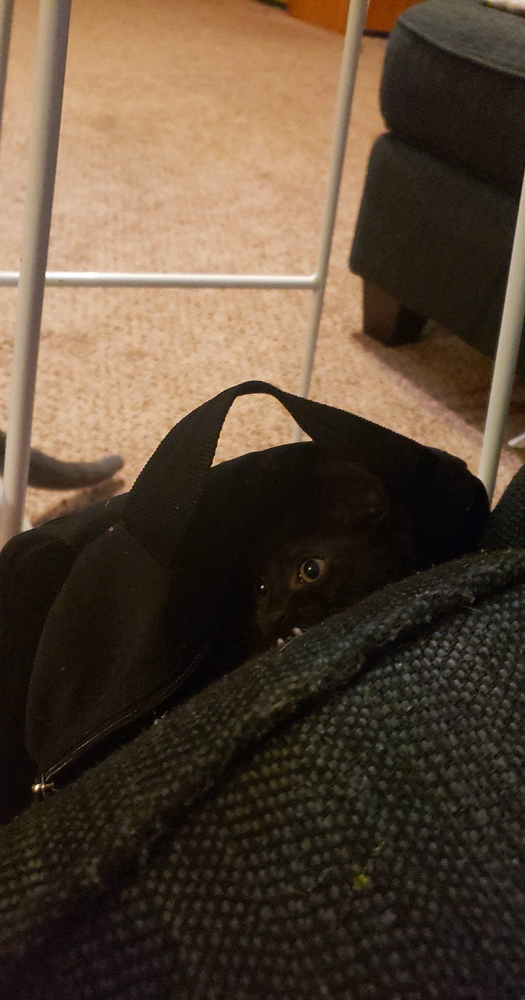 Kaze is registered to the contest to win money with this photo: asphalt, auto_part, automotive_exterior, automotive_tire, automotive_wheel_system, bumper, chair, fender, fin, flooring, grass, hood, human_leg, metal, road_surface, shade, shadow, tints_and_shades, vehicle_door, wood