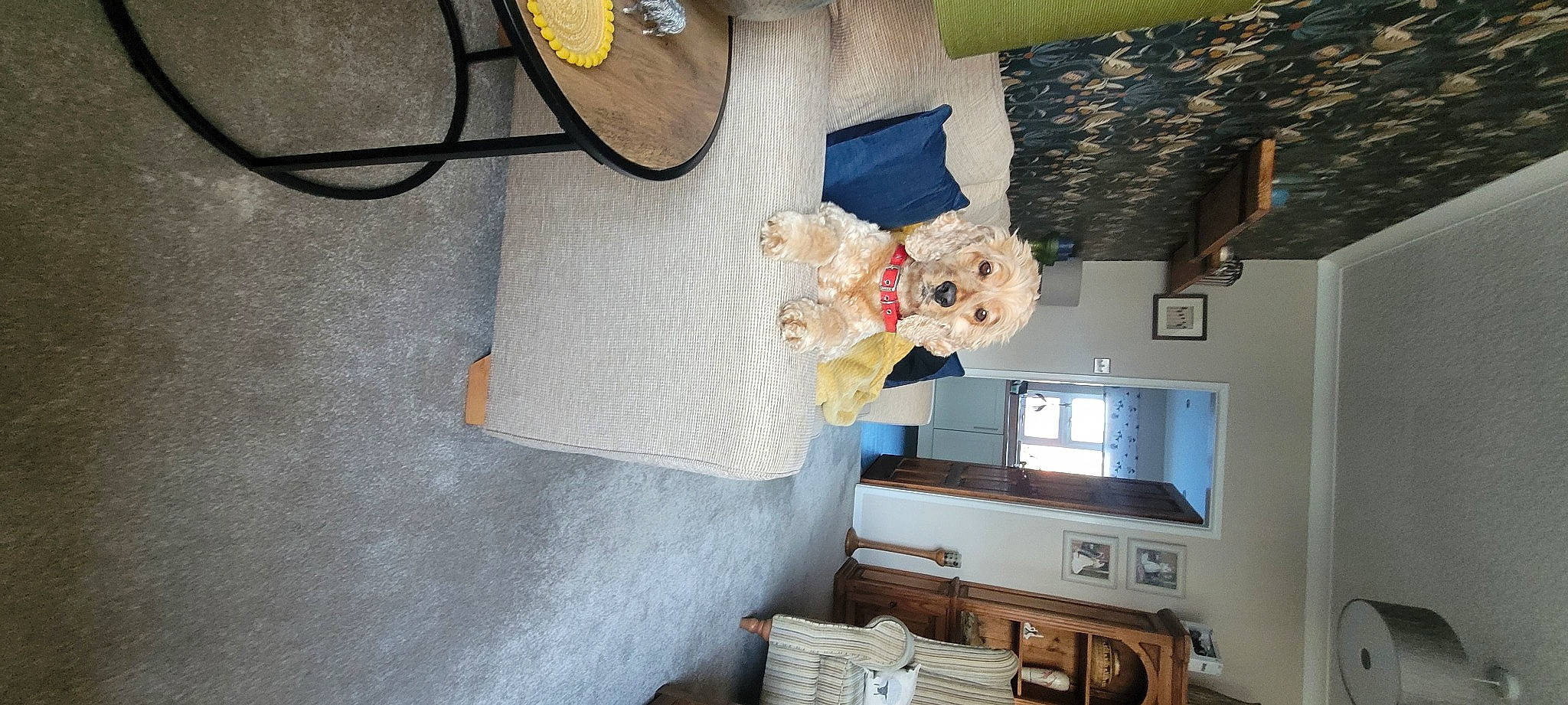 Bernard is registered to the contest to win money with this photo: doll, drawer, entertainment_center, flooring, hardwood, home_appliance, house, machine, plant, room, stuffed_toy, teddy_bear, television, toy, tree, wire, wood