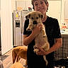 boy, puppy, dog, kitchen, floor, smiling, indoor, light, refrigerator, cabinet, wooden_floor, pet, child, black_shirt, home, window, door, blanket, crate, happy
