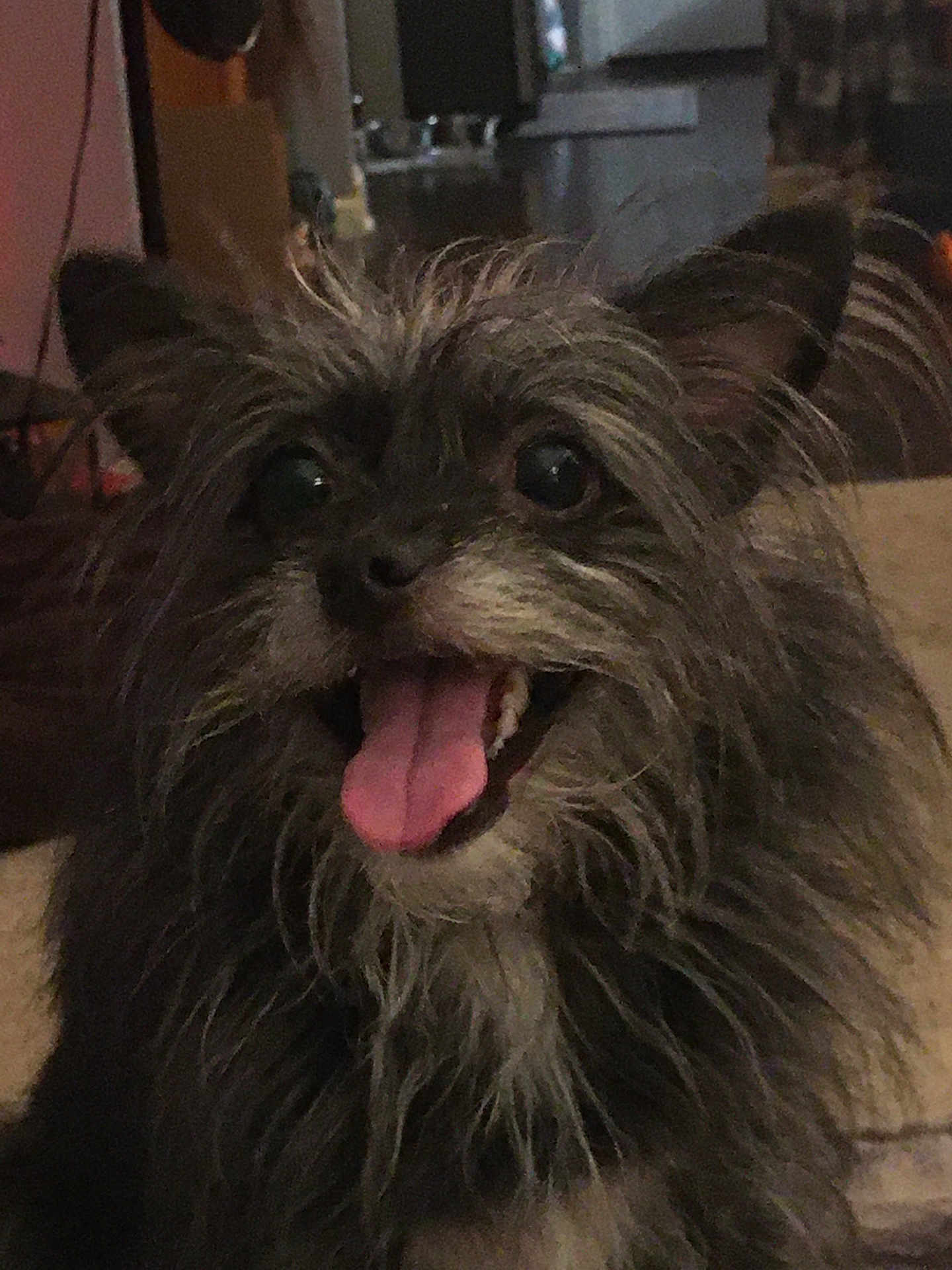 Lola