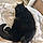 Binx