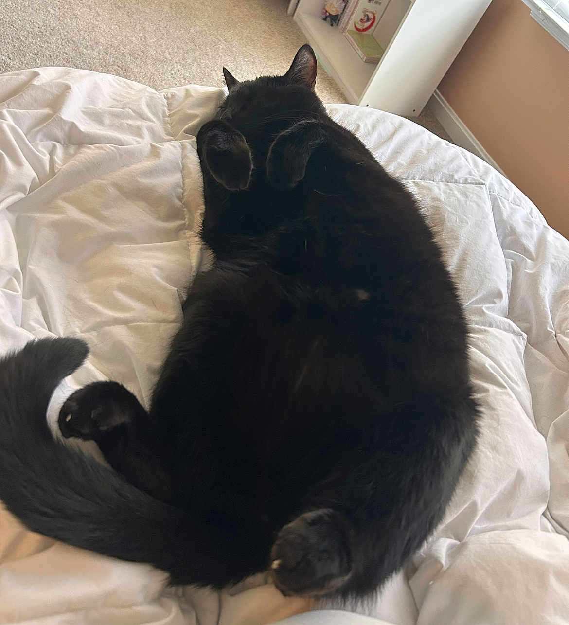 Binx