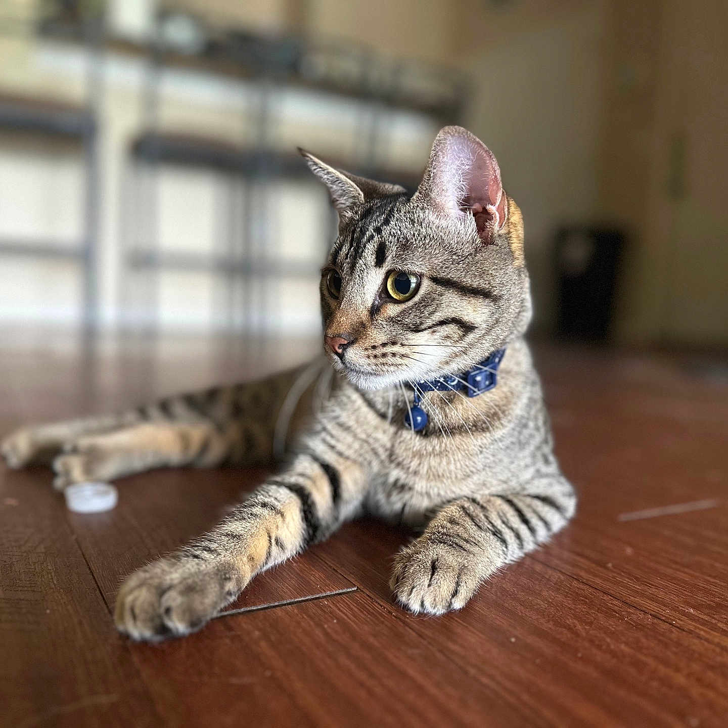 Marv