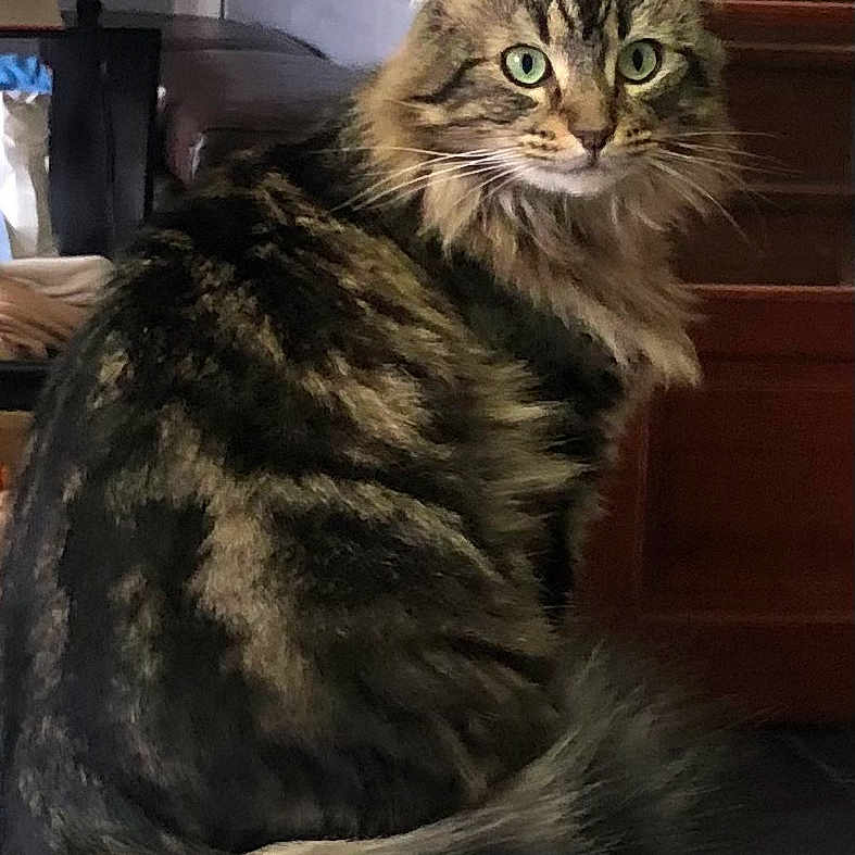 Hunter