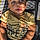 Drayden