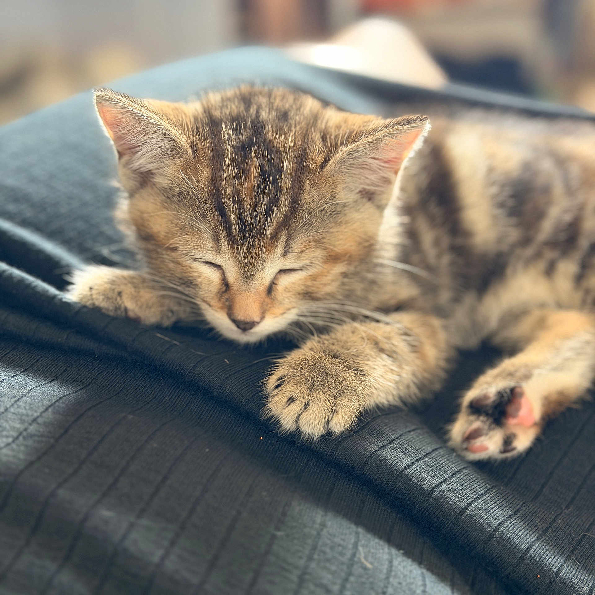 Tink