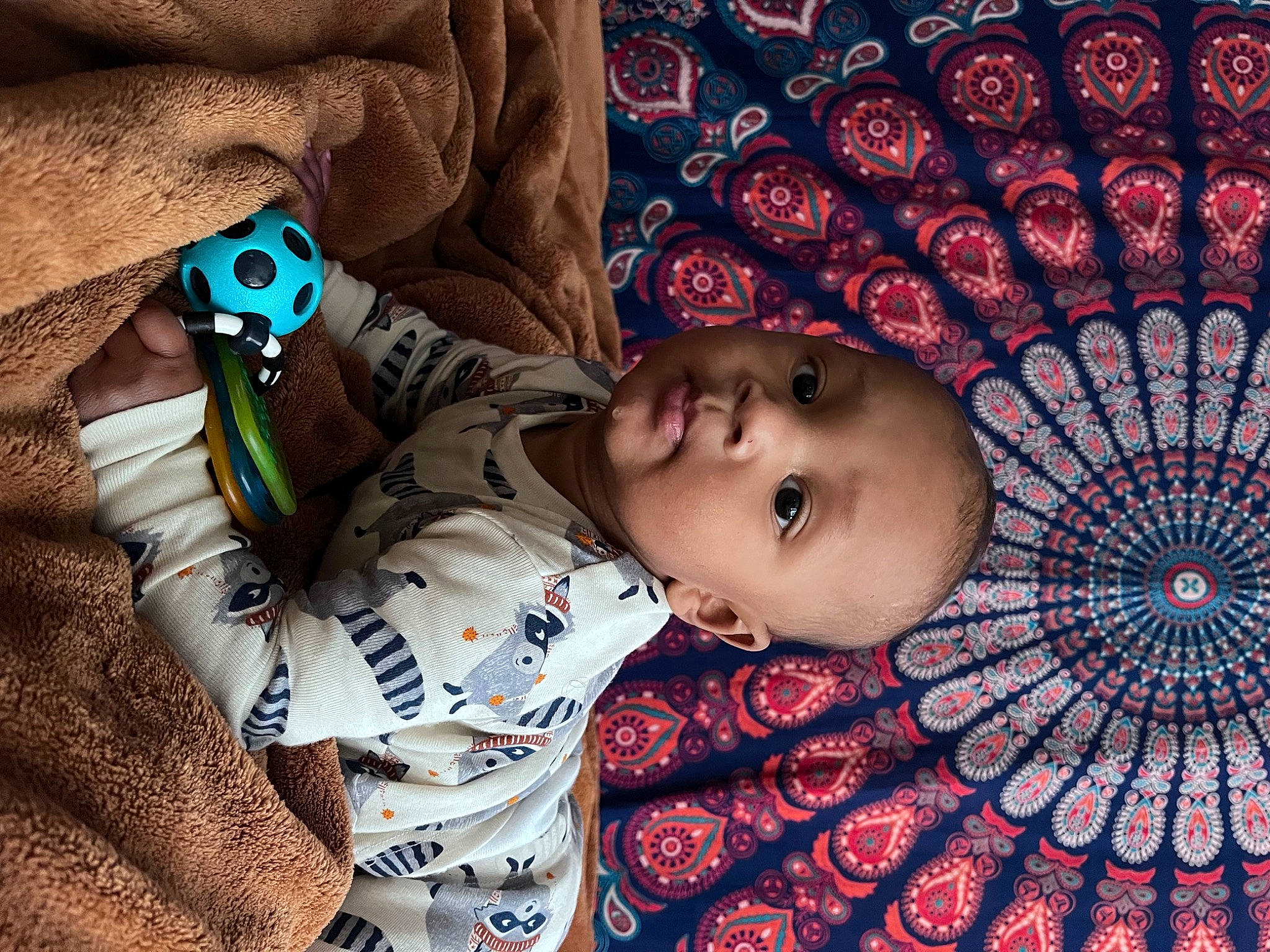 Wise joined the competition — help win amazing prizes! baby, baby_toddler_clothing, cheek, child, comfort, eye, flash_photography, fur, head, iris, linens, mammal, nose, pattern, person, room, skin, sleeve, textile, toddler