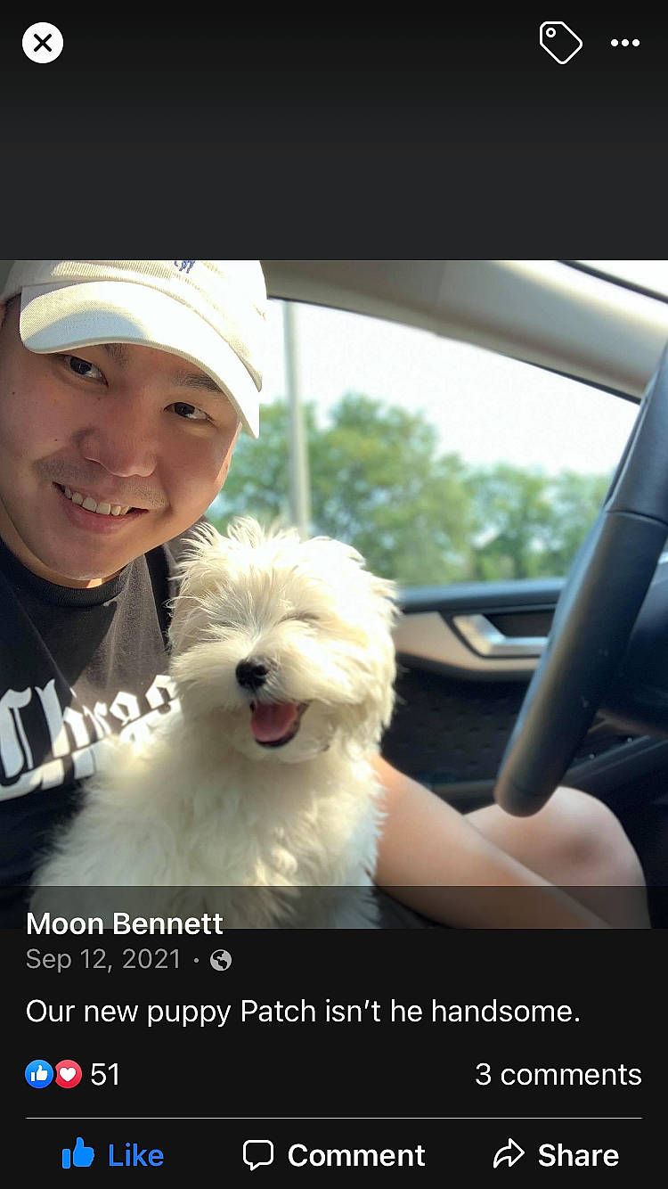 Patch joined the competition — help win amazing prizes! automotive_mirror, baseball_cap, car, carnivore, companion_dog, dog, dog_breed, fur, happy, personal_luxury_car, photo_caption, rear_view_mirror, sky, smile, sporting_group, toy_dog, tree, vehicle, vehicle_door, windshield