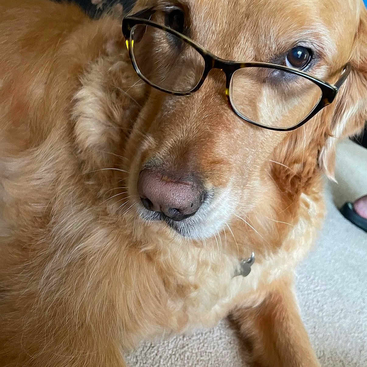Murphy