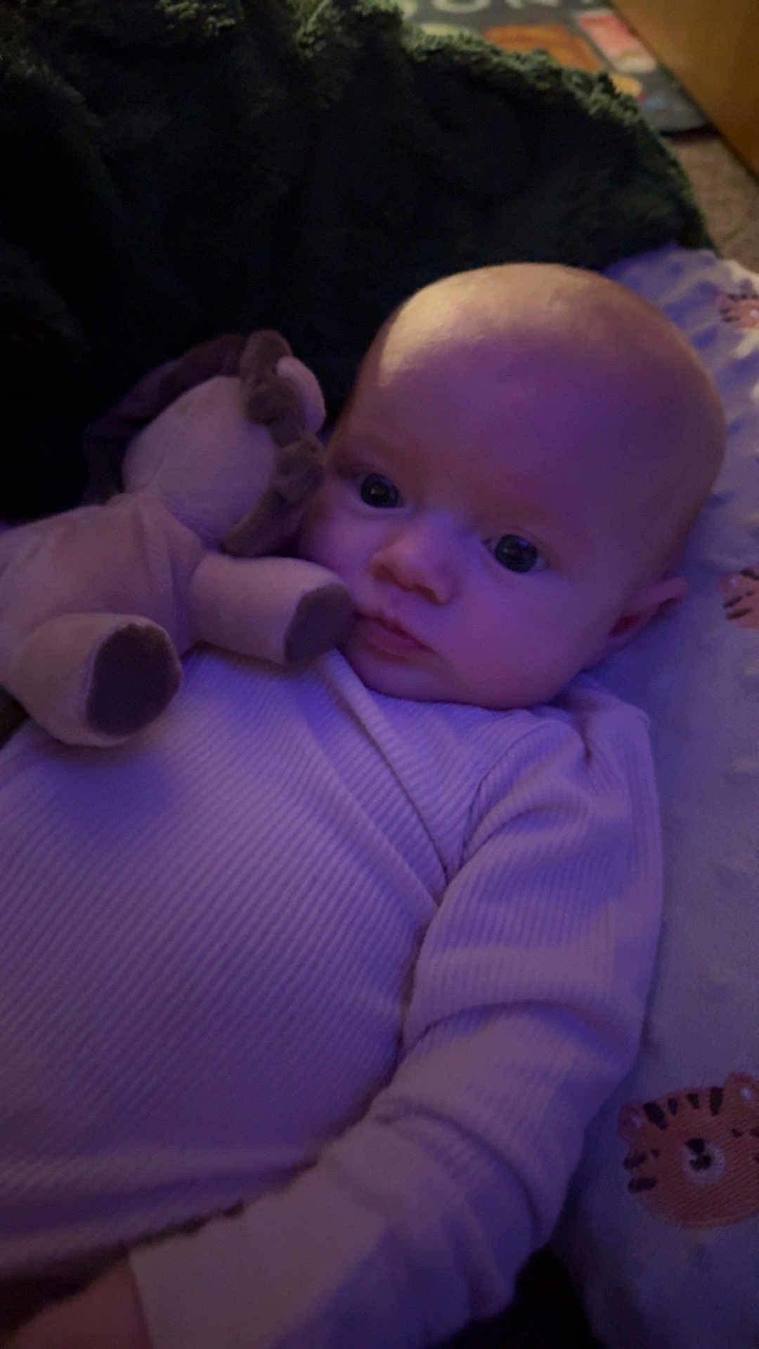 Dakota is registered to the contest to win money with this photo: baby, infant, plush_toy, stuffed_animal, lion, purple_light, sleeping_mat, clothing, onesie, face, head, eyes, hand, lying_down, cute, indoor, soft_texture, child, person, resting