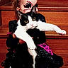 child, cat, face_paint, stairs, black_and_white_cat, costume, halloween, wide_eyes, pet, holding, indoor, wooden_stairs, dress, cute, playful, animal, young, festive, paws, mask