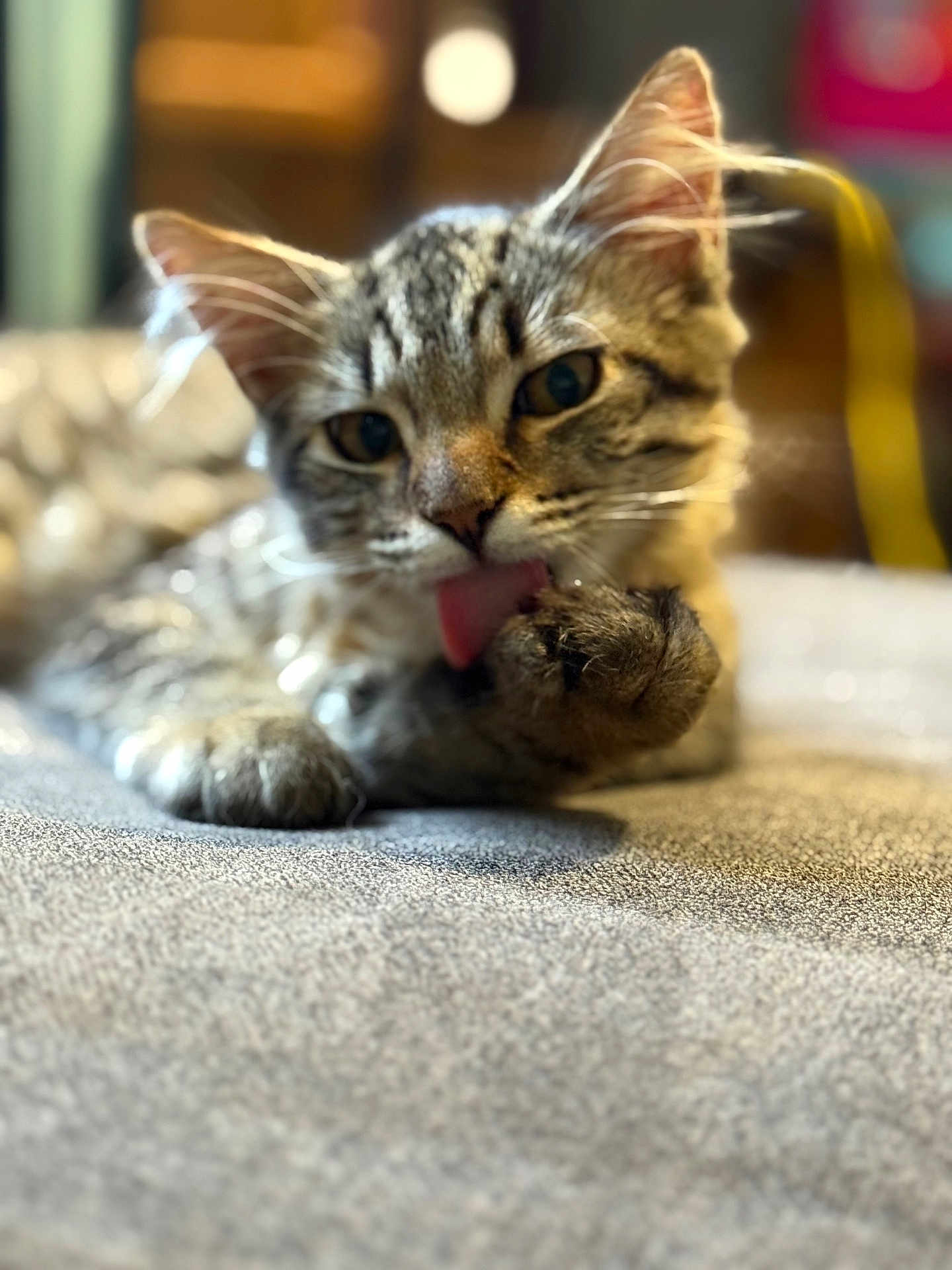 Nala Marie