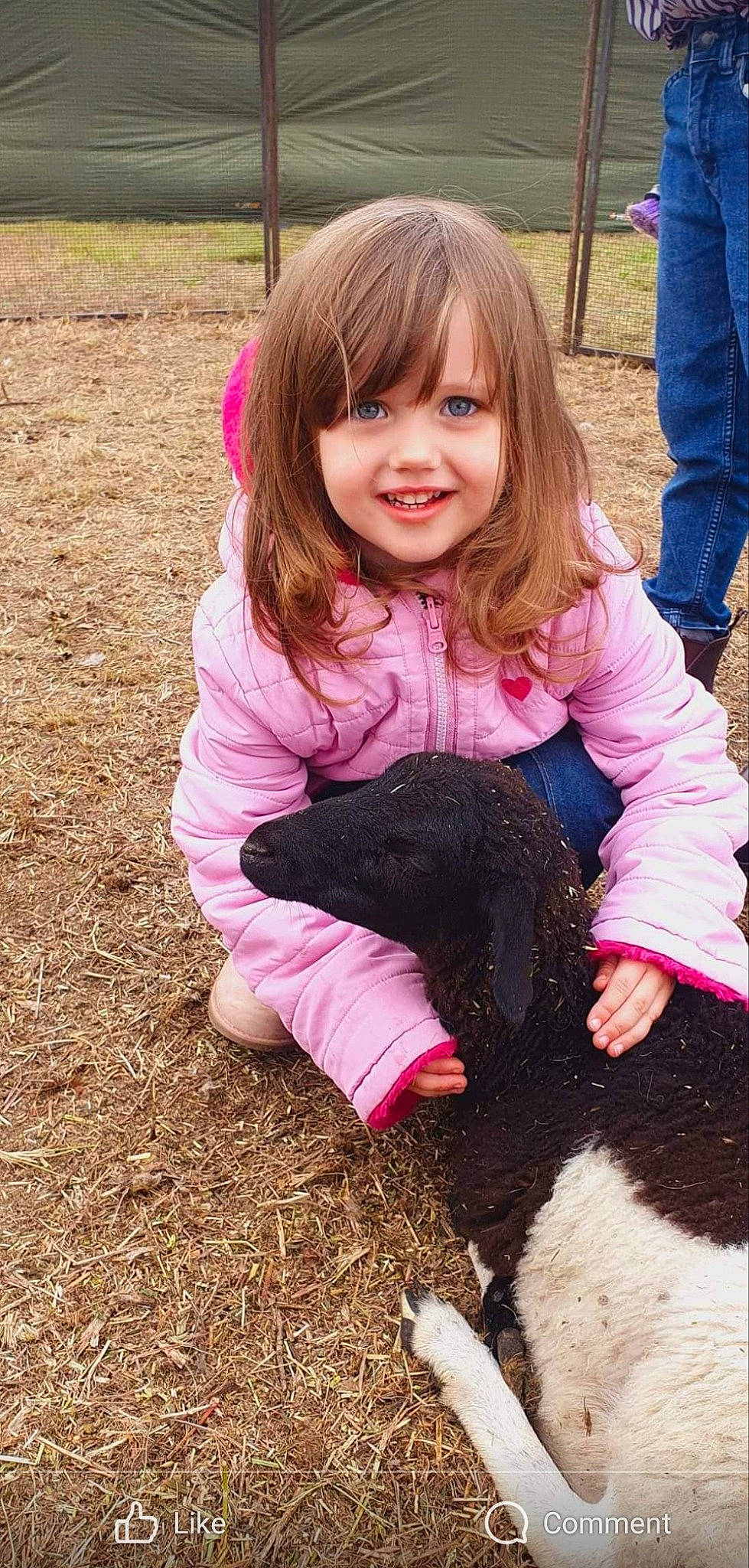 Kaitlyn joined the competition — help win amazing prizes! baby_toddler_clothing, child, dog_breed, fawn, fun, fur, grass, happy, hat, jeans, joy, leg, livestock, magenta, people_in_nature, person, pink, purple, sitting, smile