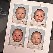 Campa a rejoint le concours — aidez-le/la à gagner de superbes lots ! baby, bear_pattern, blue_background, child, clothing, cute, date_stamp, face, headshot, indoor, infant, measurement, newborn, passport_photo, photo_id, photo_sheet, photograph, portrait, serious_expression, studio_photo
