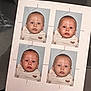 baby, bear_pattern, blue_background, child, clothing, cute, date_stamp, face, headshot, indoor, infant, measurement, newborn, passport_photo, photo_id, photo_sheet, photograph, portrait, serious_expression, studio_photo