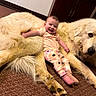 baby, child, dog, large_dog, fluffy_dog, carpet, indoor, smiling, happy, cute, pet, animal, mammal, fur, lying_down, relaxed, person, infant, legs, face