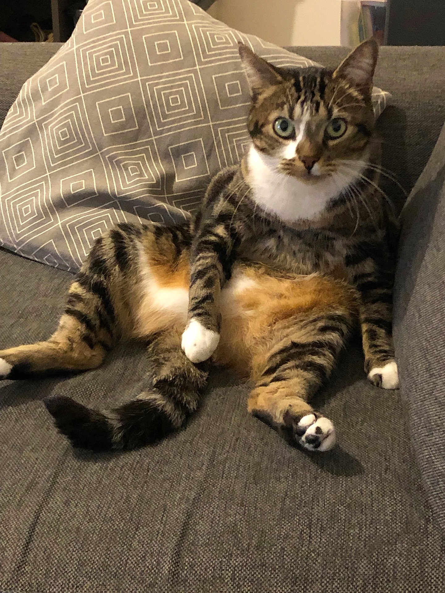Tigrou