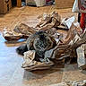 Julian Edelman joined the competition — help win amazing prizes! cat, tabby_cat, fluffy_cat, brown_paper, crumpled_paper, floor, tile_floor, indoor, trash_bin, cardboard_box, woven_mat, pet, feline, animal, home, cozy, messy, focused, curious, domestic