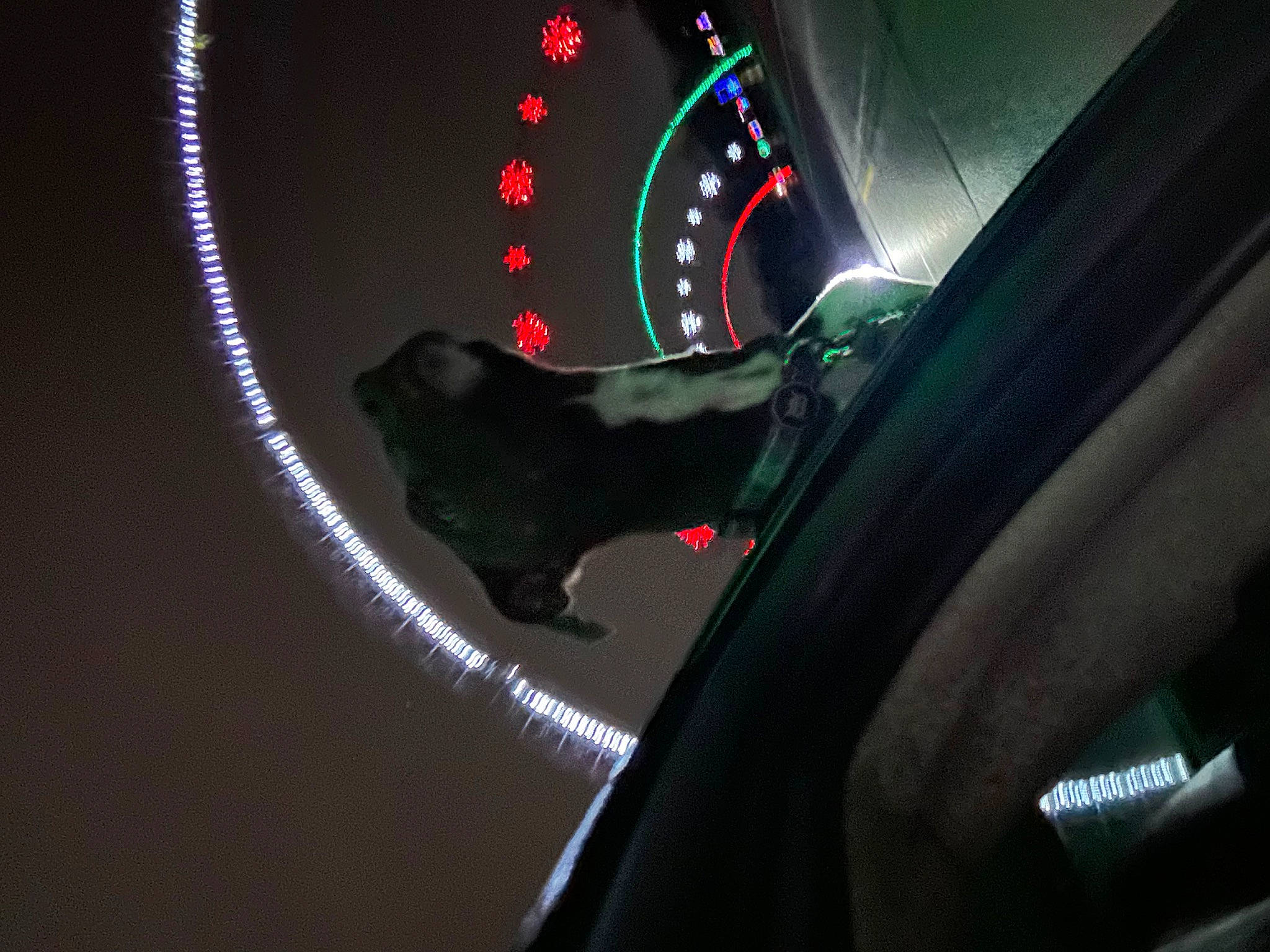 Bogey joined the competition — help win amazing prizes! auto_part, automotive_design, automotive_lighting, automotive_mirror, car, carnivore, cat, darkness, felidae, gauge, hood, motor_vehicle, personal_luxury_car, small_to_medium_sized_cats, speedometer, steering_part, steering_wheel, tints_and_shades, vehicle, vehicle_door