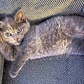 Amanda B.