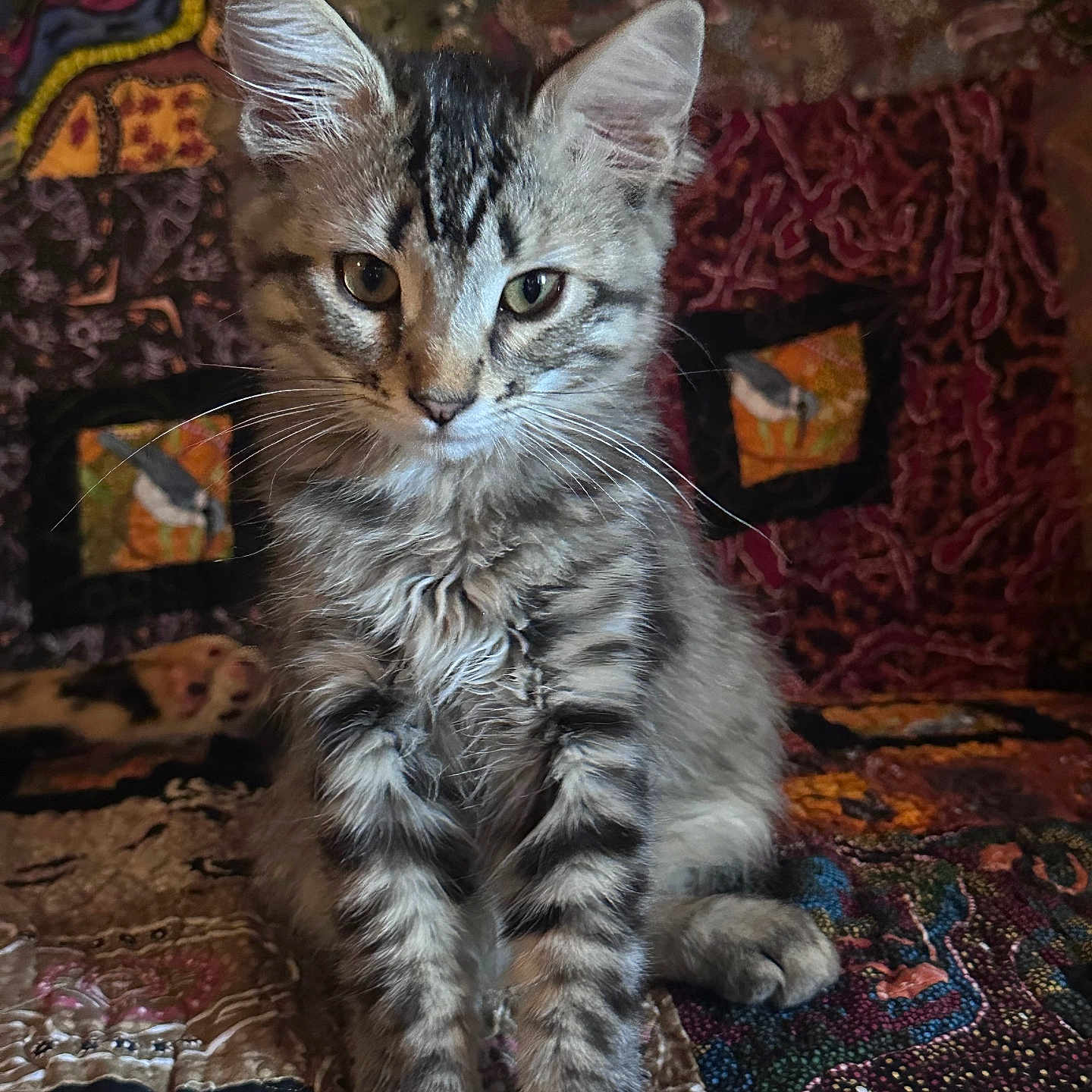 Kiki