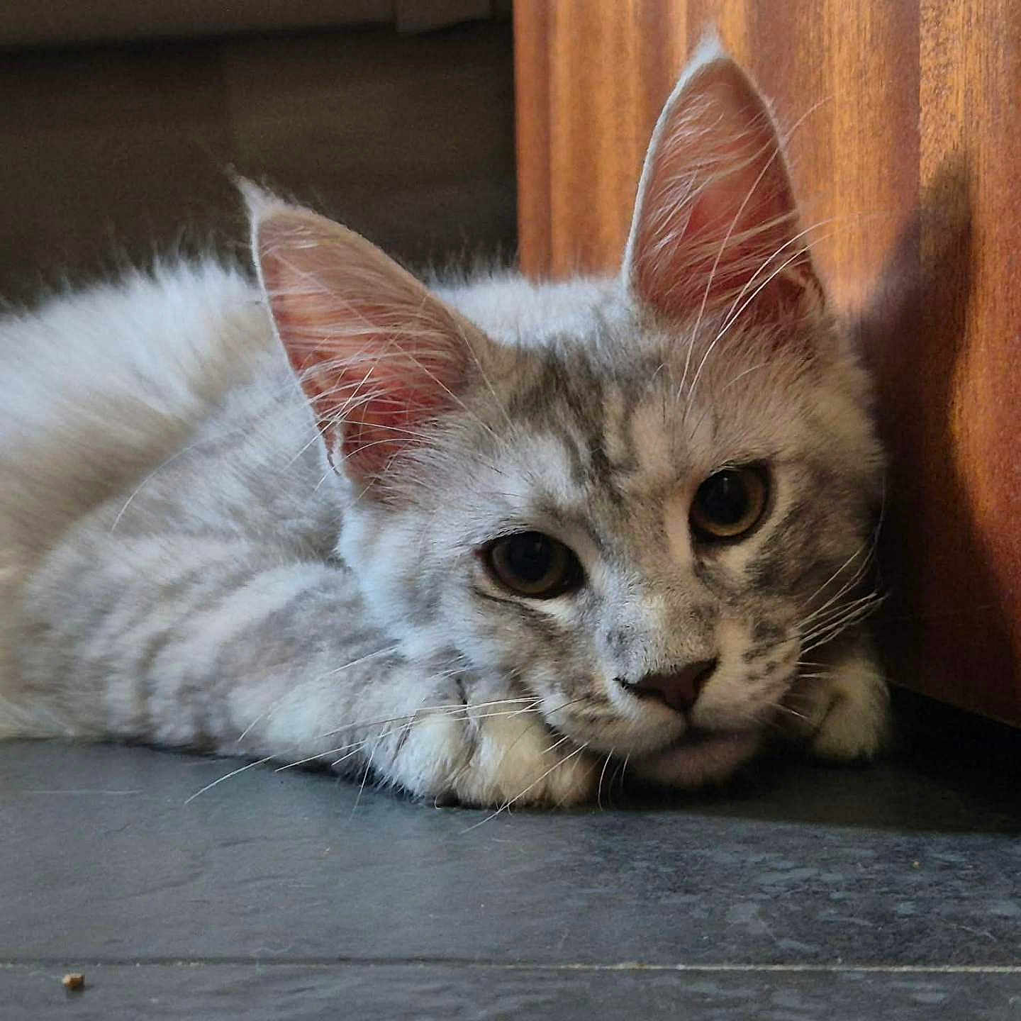 Gomez