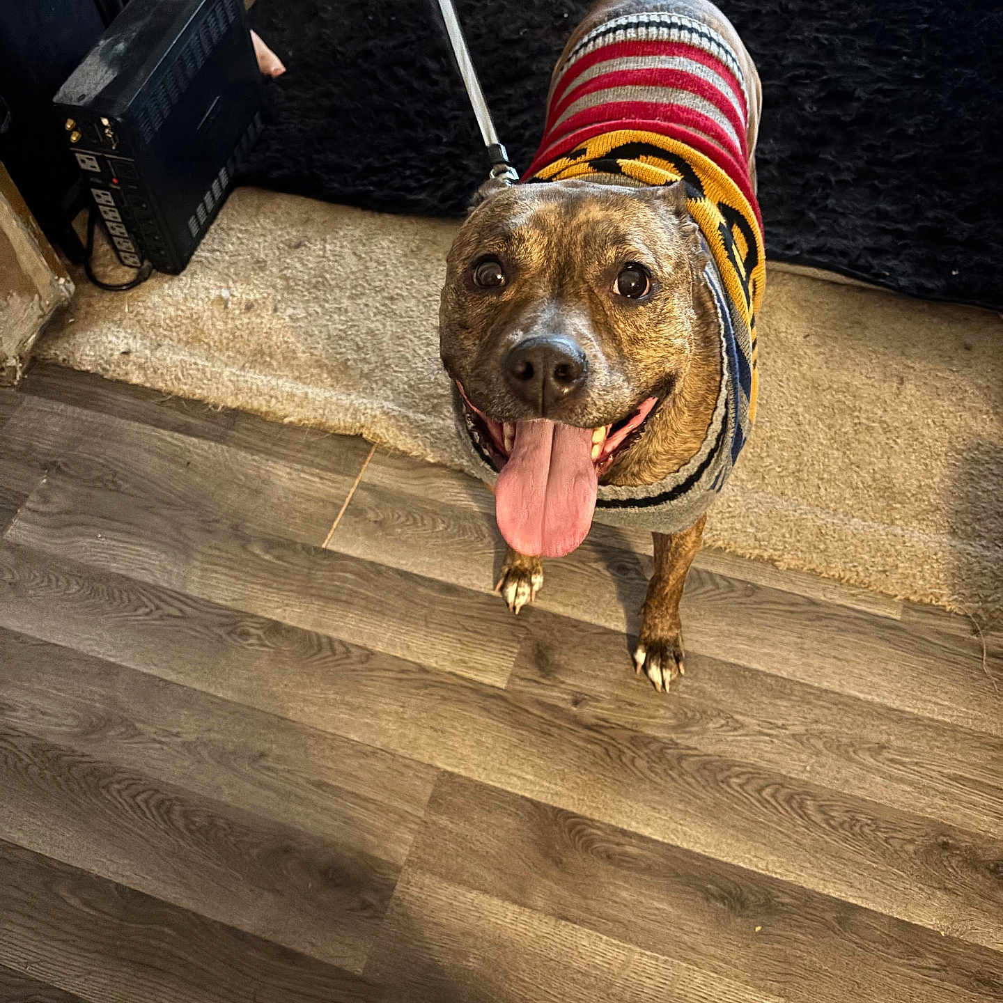 Gypsy