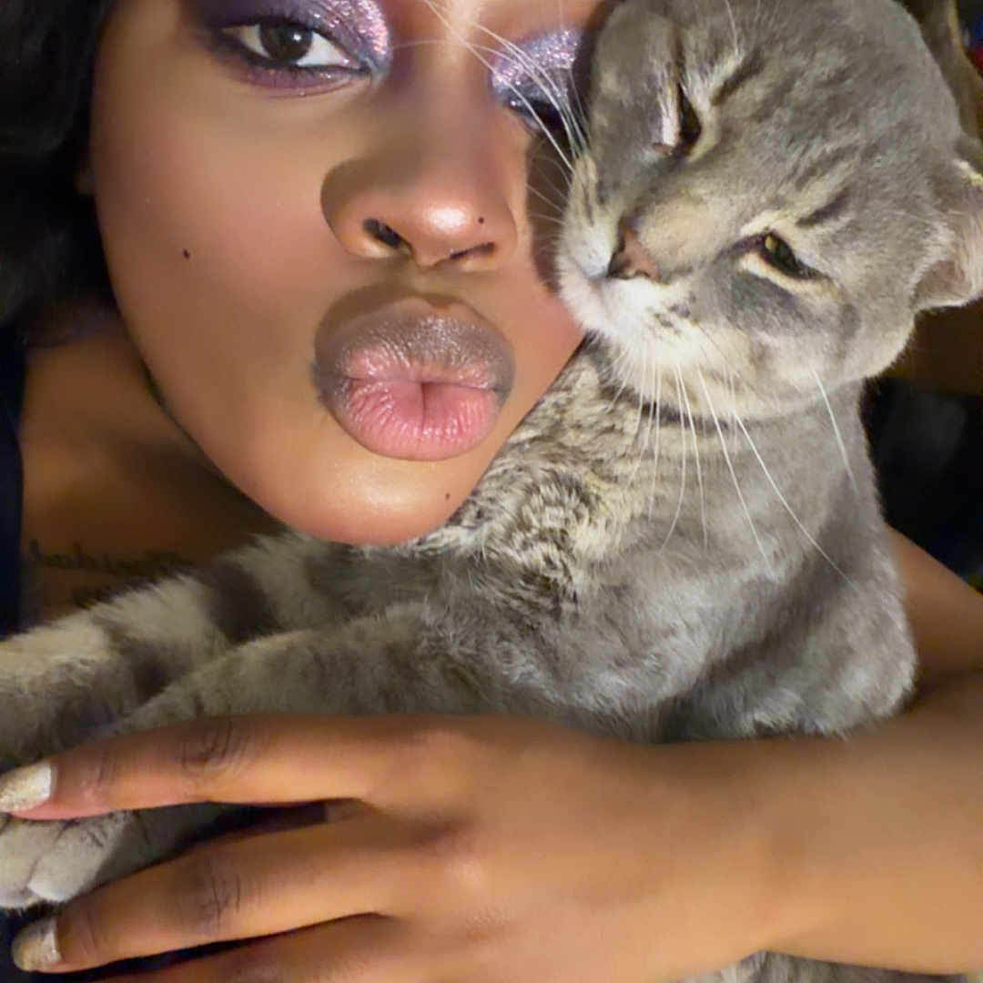 Sir Meow Meow Marcus