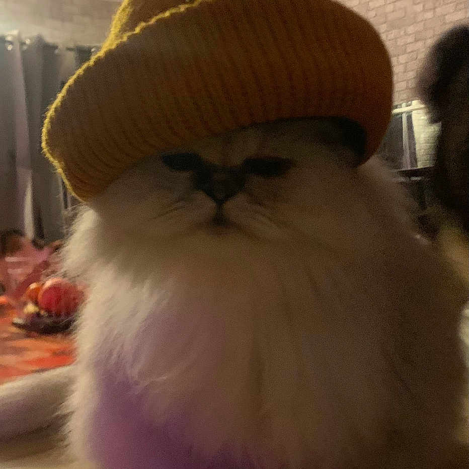 Milo