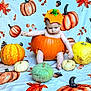 Leighton joined the competition — help win amazing prizes! baby, pumpkin, hat, autumn, fall, orange, yellow, green, cute, child, costume, seasonal, decor, festive, blanket, sitting, expression, indoor, holiday, babywearing