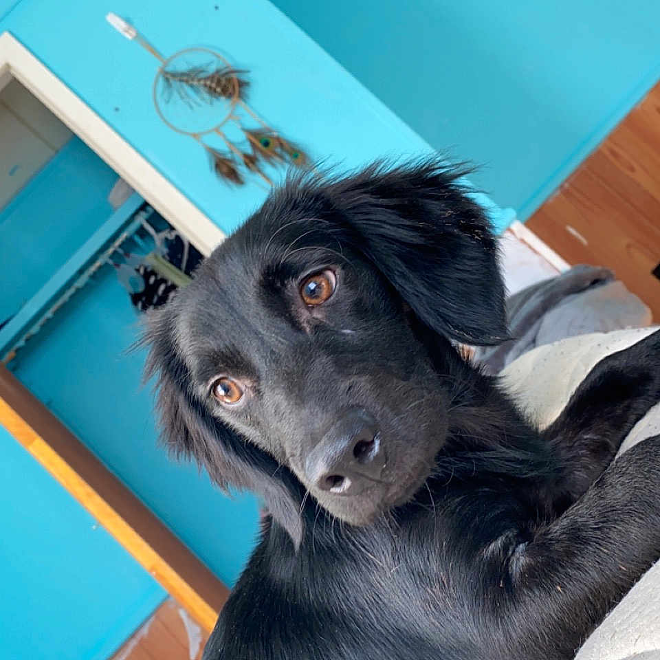 Oakley