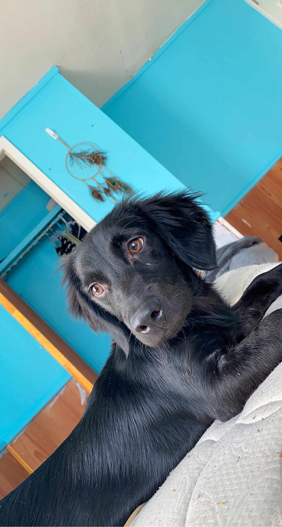 Oakley