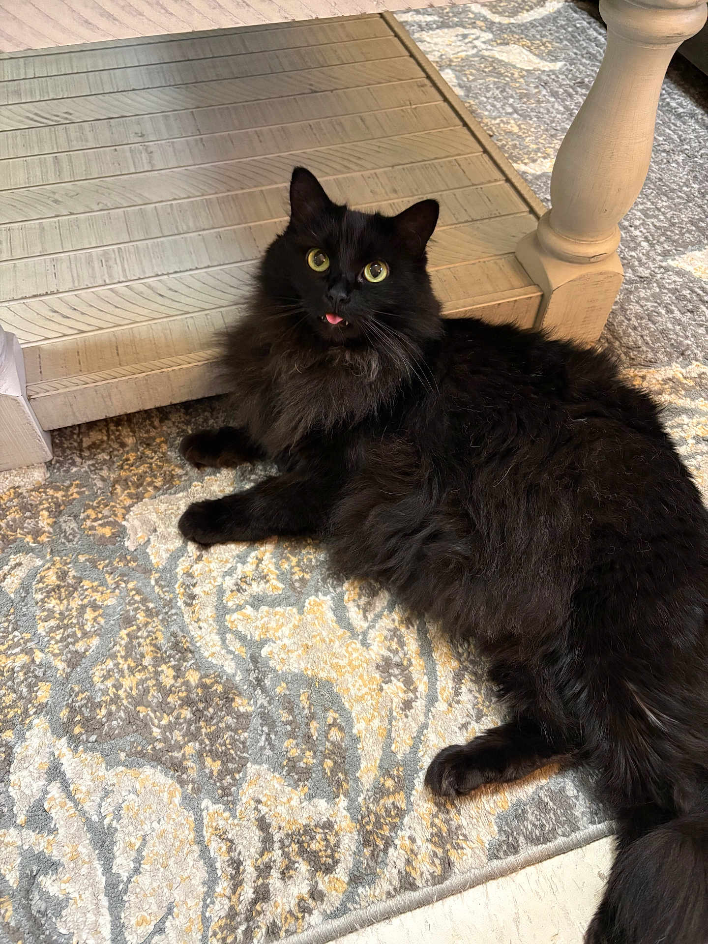 Koko