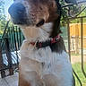 Yoko participe au concours pour gagner de l'argent avec cette photo :