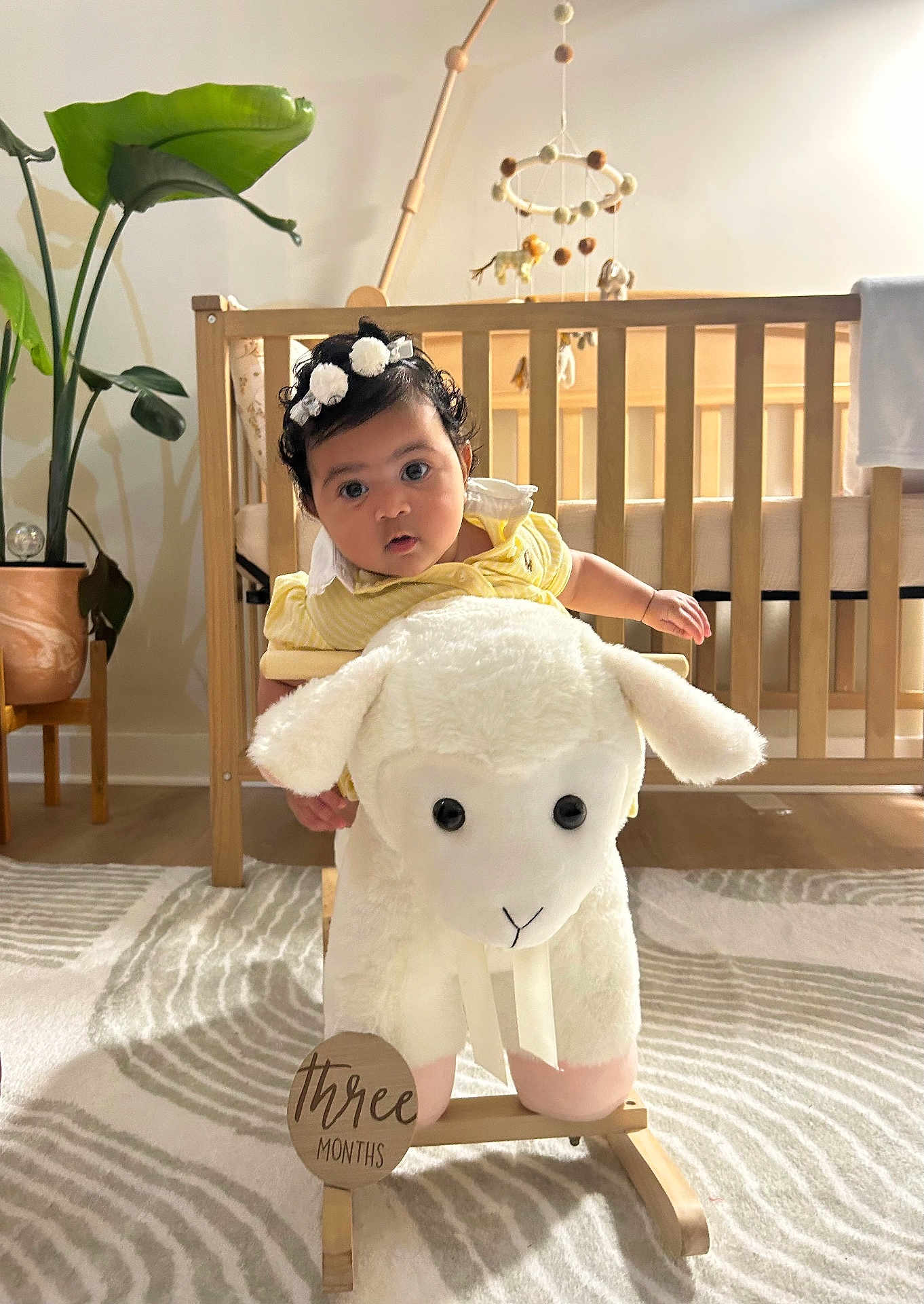 Nyla is registered to the contest to win money with this photo: baby, infant, plush_toy, rocking_sheep, headband, crib, nursery, mobile, wooden_furniture, carpet, indoor, child, cute, yellow_clothing, decor, plant, home, floor, soft_toy, portrait