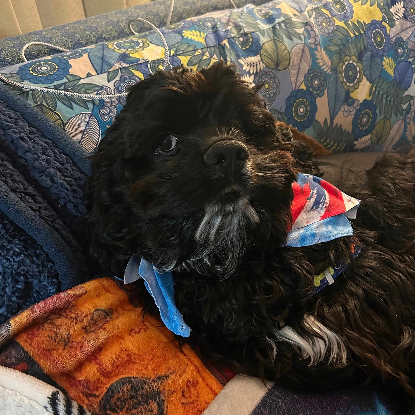 Mr Boomer