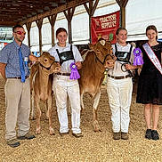 Suzy is registered to the contest to win money with this photo: people, calves, livestock_show, ribbons, prize, barn, wood_shavings, sash, clothing, smiling, animal, farm, competition, group, indoors, young_adults, casual, showmanship, agriculture, event