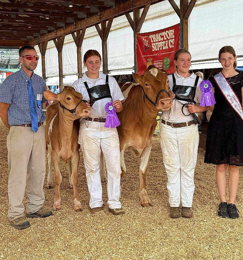 Suzy is registered to the contest to win money with this photo: people, calves, livestock_show, ribbons, prize, barn, wood_shavings, sash, clothing, smiling, animal, farm, competition, group, indoors, young_adults, casual, showmanship, agriculture, event