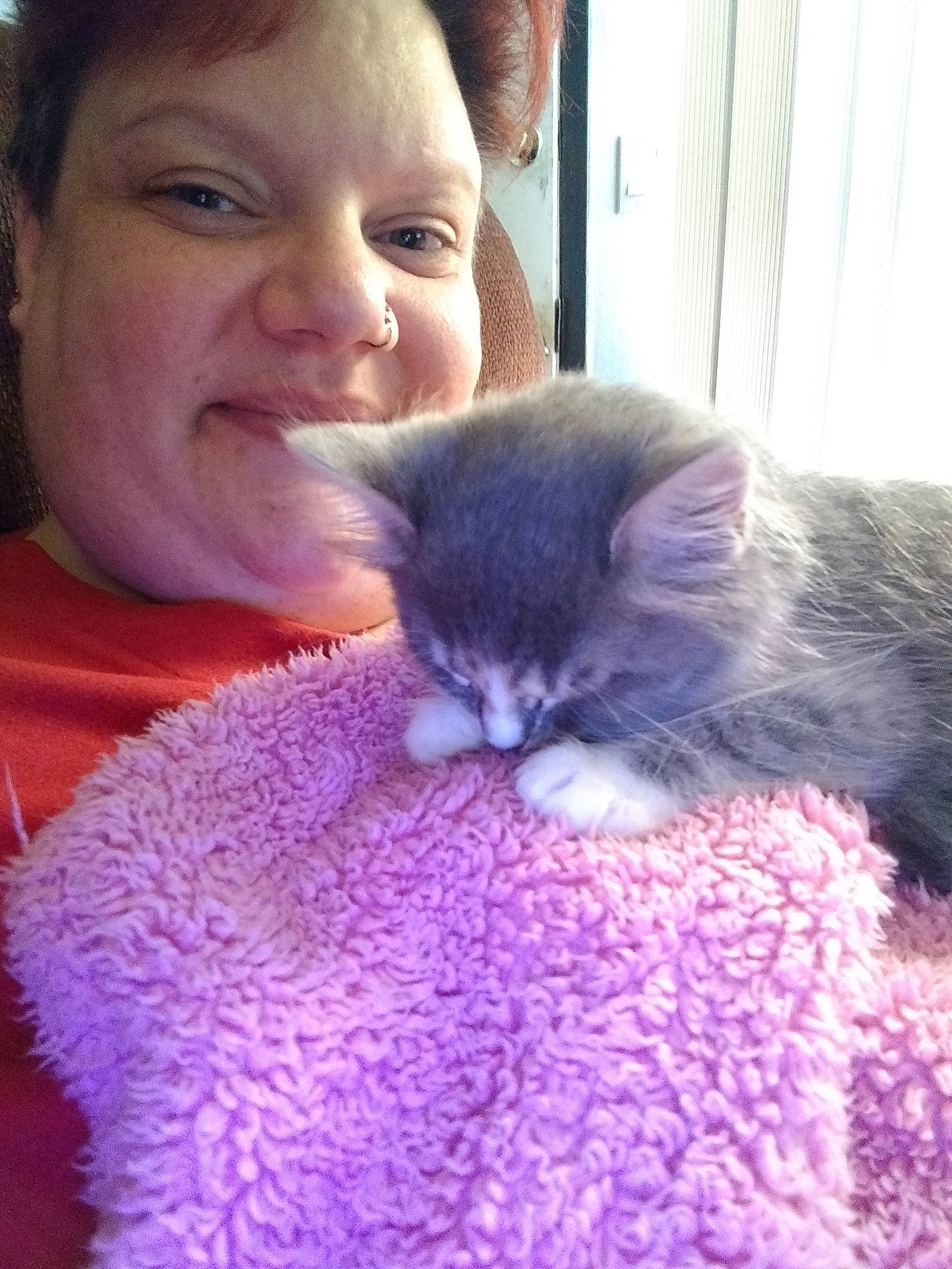 Punkin' joined the competition — help win amazing prizes! asian, carnivore, cat, chartreux, child, domestic_short_haired_cat, ear, felidae, fur, joy, kitten, nebelung, nose, person, polydactyl_cat, russian_blue, skin, small_to_medium_sized_cats, whiskers