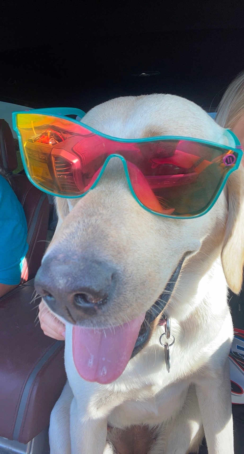 Dixie is registered to the contest to win money with this photo: dog, sunglasses, tongue_out, car_interior, reflection, close_up, pet, canine, happy, seat, collar, light, shadow, human_hand, vehicle, window, bright, summer, fun, portrait