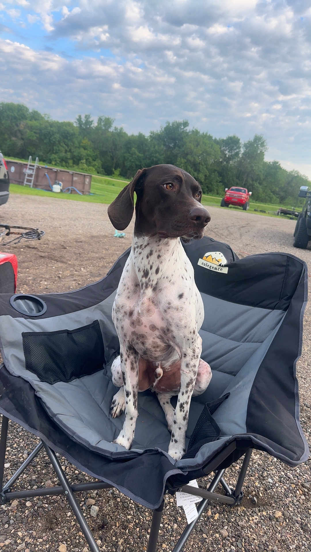 Banjo