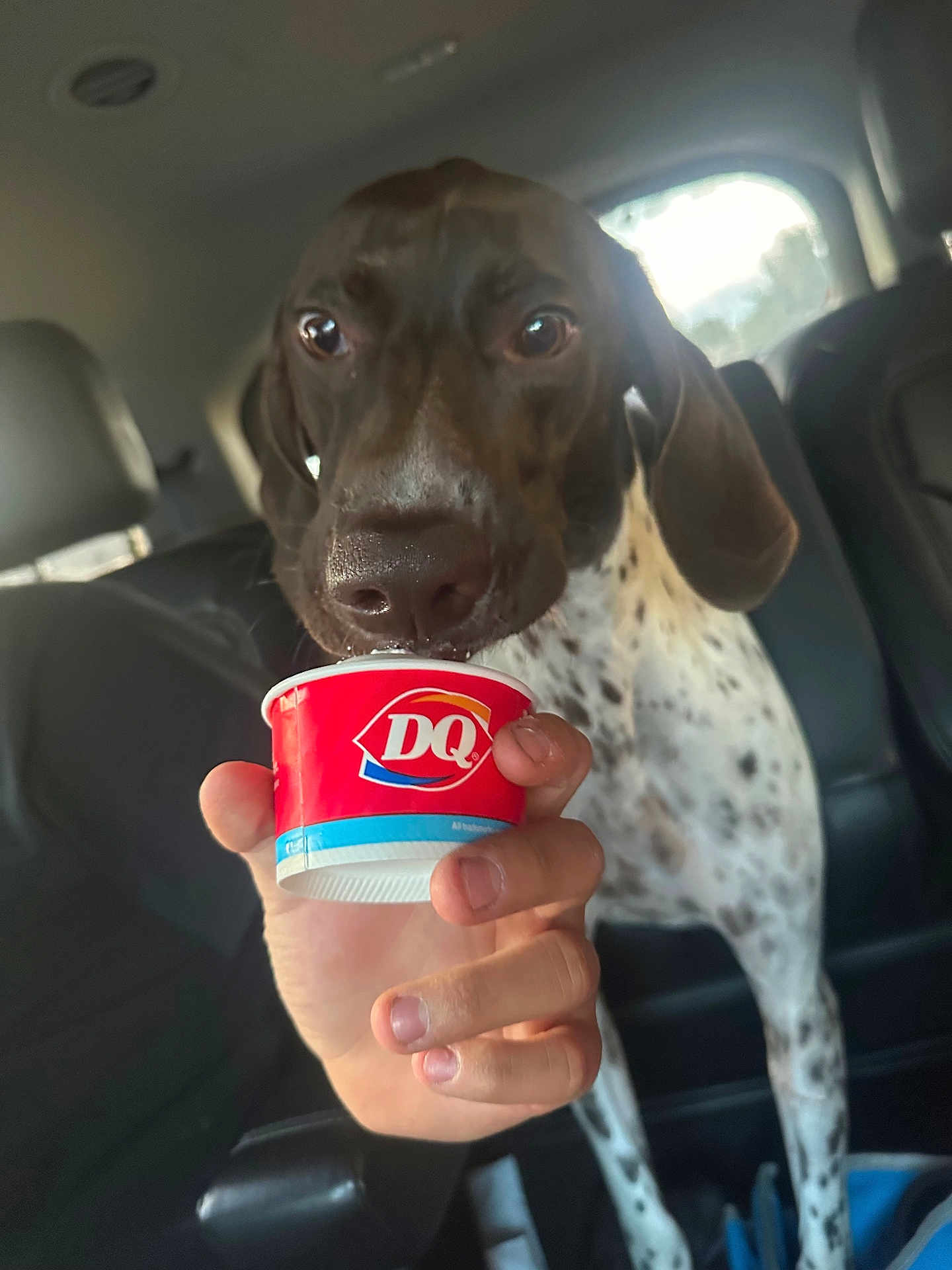 Banjo