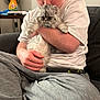 Olaf joined the competition — help win amazing prizes! casual_clothing, cat, cleaning_supplies, comfort, couch, fluffy, furniture, gray_cat, gray_pants, home, hugging, indoor, kitten, person, pet, relaxed, sitting, smartphone, table, white_shirt