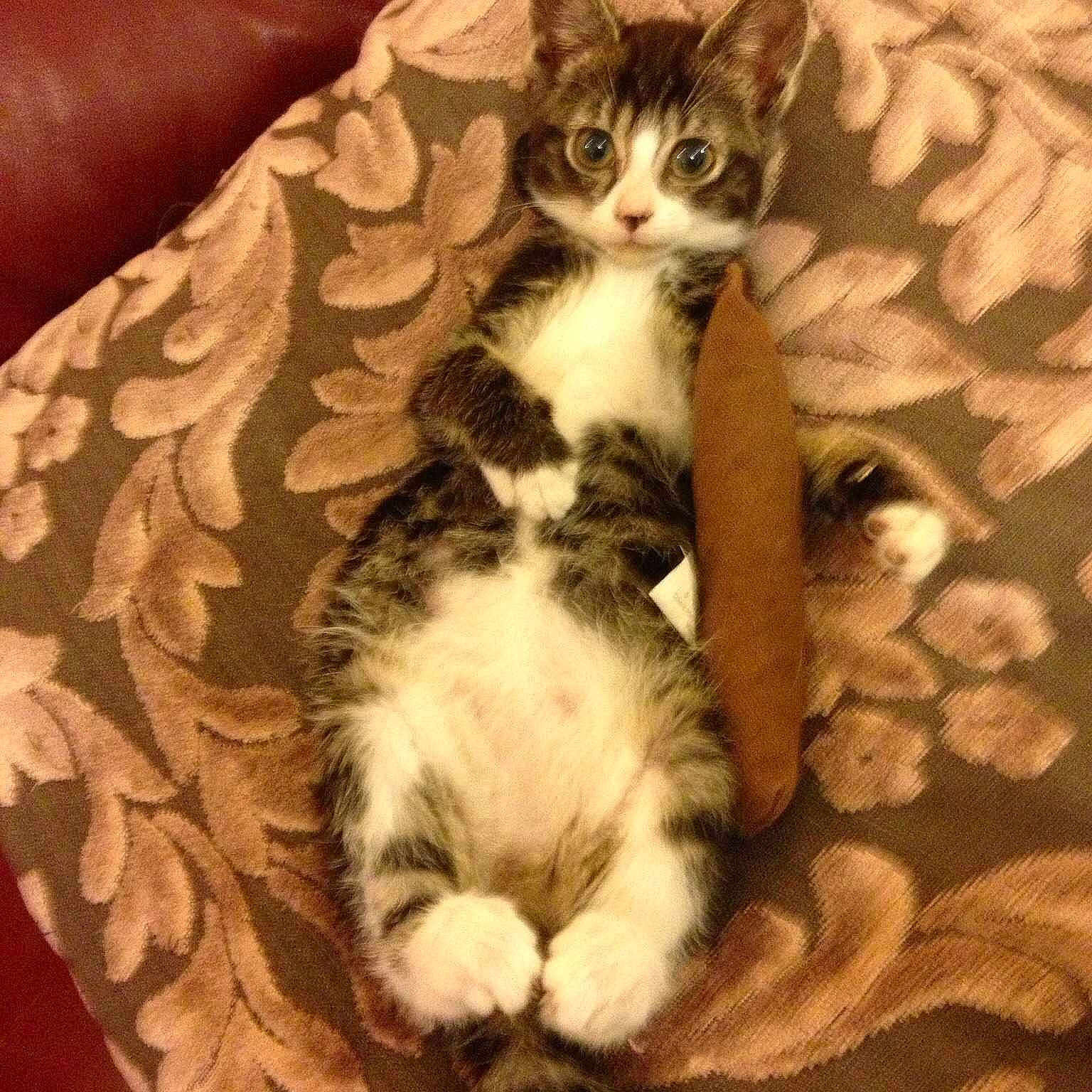 Boe Griffin is registered to the contest to win money with this photo: