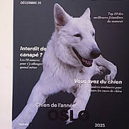 Oslo a rejoint le concours — aidez-le/la à gagner de superbes lots ! dog, white_dog, leaping, animal, pet, portrait, magazine_cover, text_overlay, dark_background, canine, fur, happy, playful, jumping, studio_shot, photography, smiling, dog_face, dog_paw, advertisement