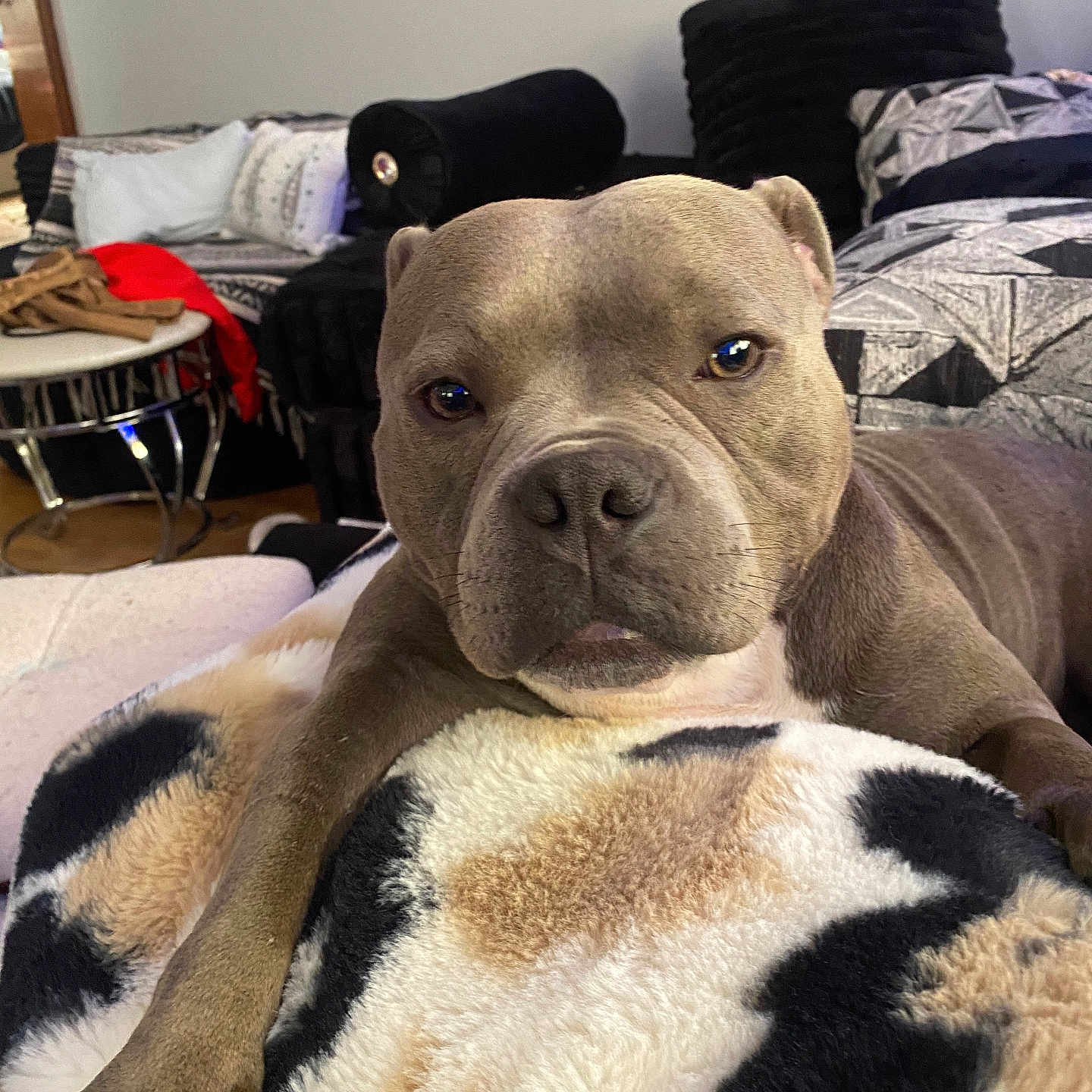Lil Mama